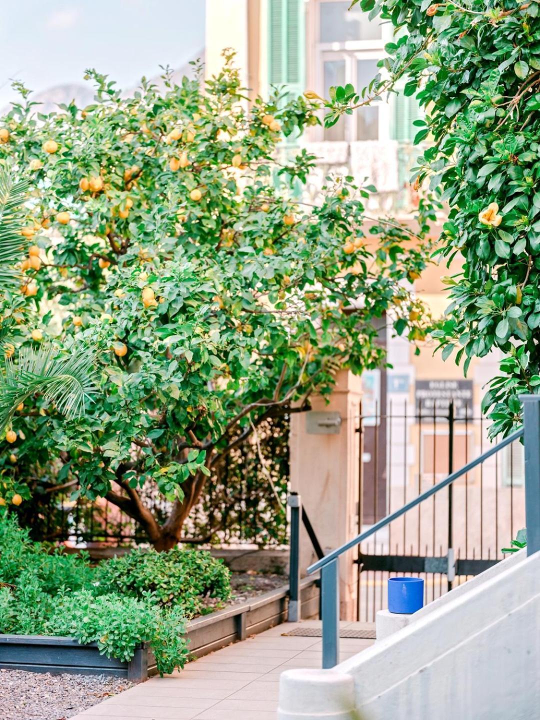 Hotel Lemon Menton Dış mekan fotoğraf