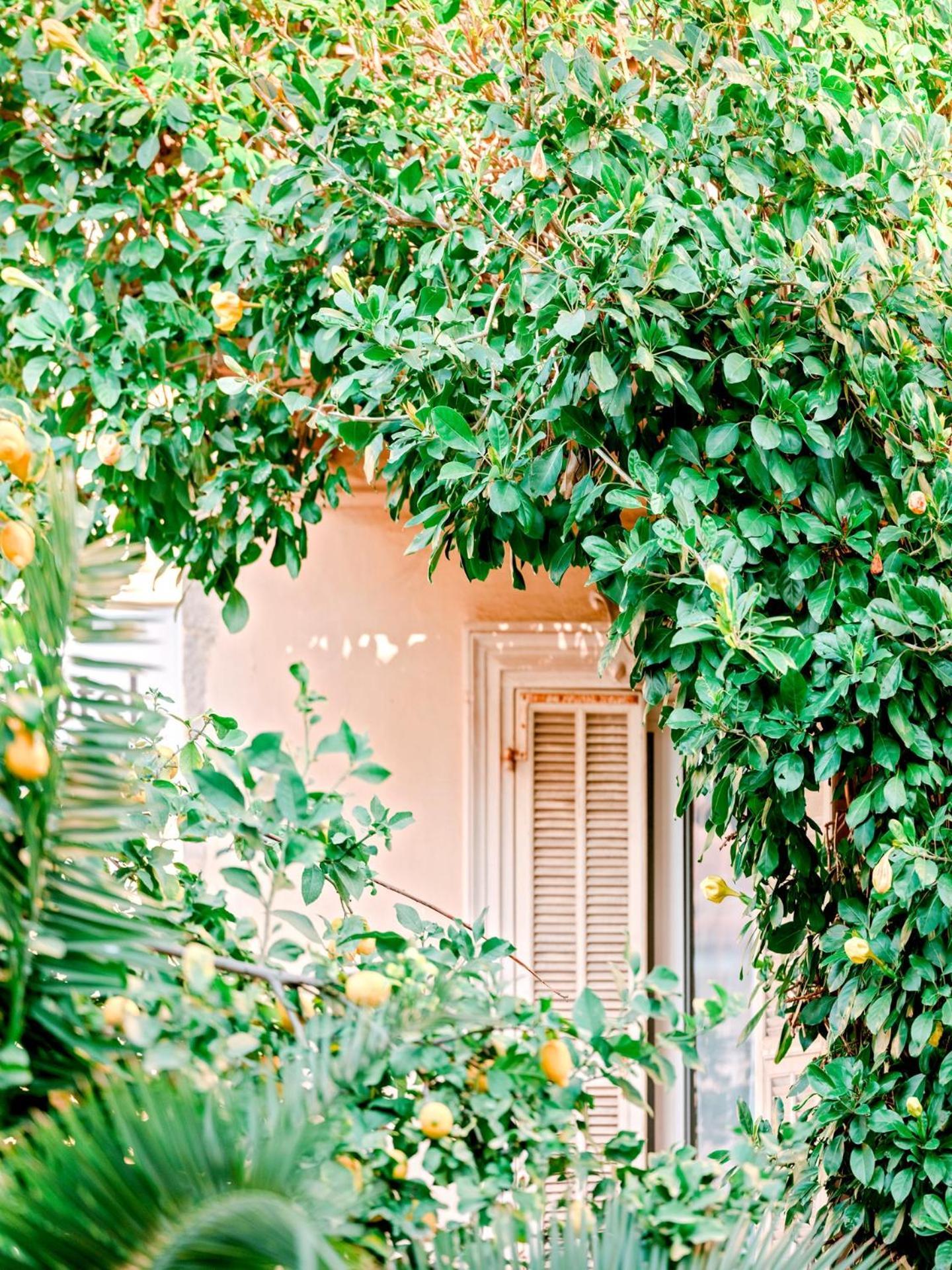 Hotel Lemon Menton Dış mekan fotoğraf